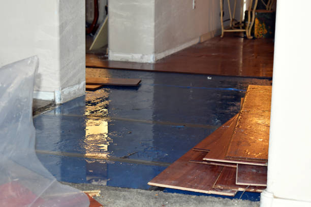 Professional Water Damage Restoration technician working in Junction City, KY